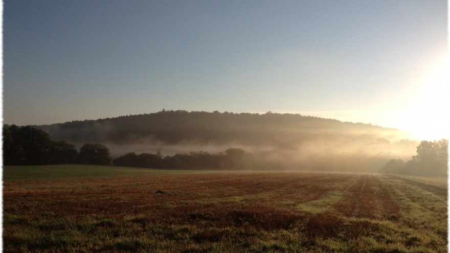 Frühnebel am Max- Planck- Institut